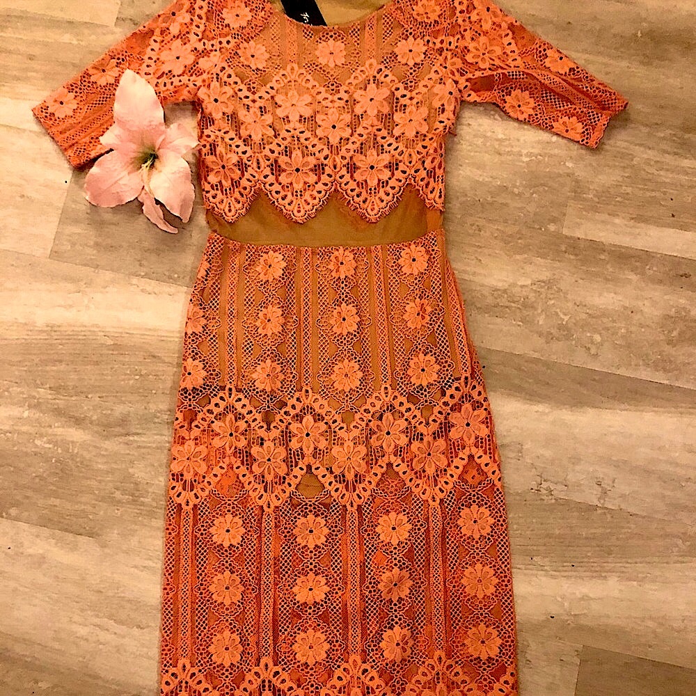 PRICE DROP!! 💥💥🌤️🌤️For Love And Lemons Midi Illusion Dress (S) - Picture 4 of 16